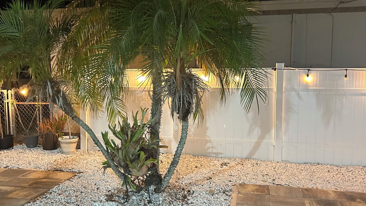 Photo of Outdoor in Safety Harbor