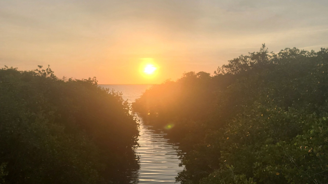 Photo of Others in Safety Harbor