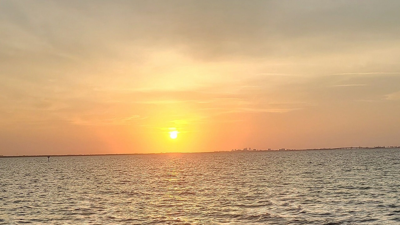 Photo of Others in Safety Harbor