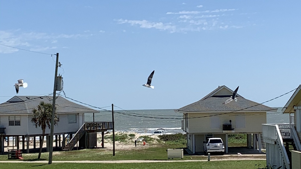 Photo of Others in Jamaica Beach