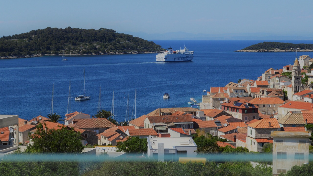 Photo of Others in Vis