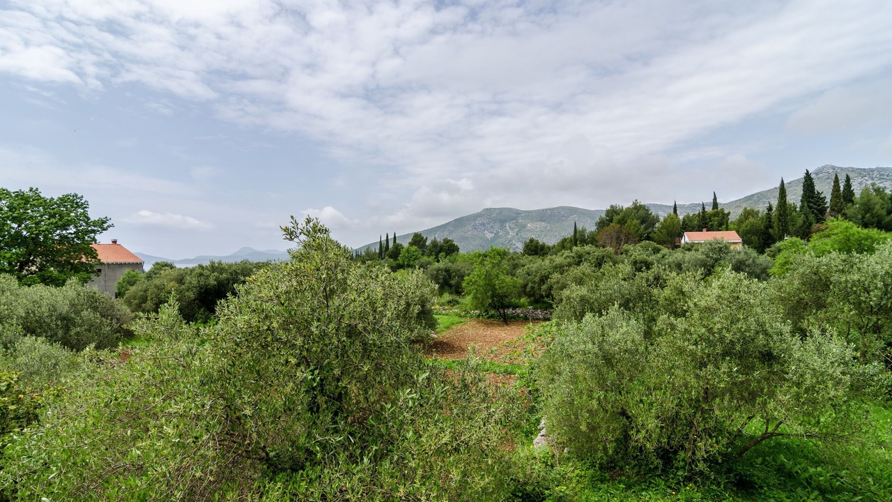 Photo of Outdoor in Banici