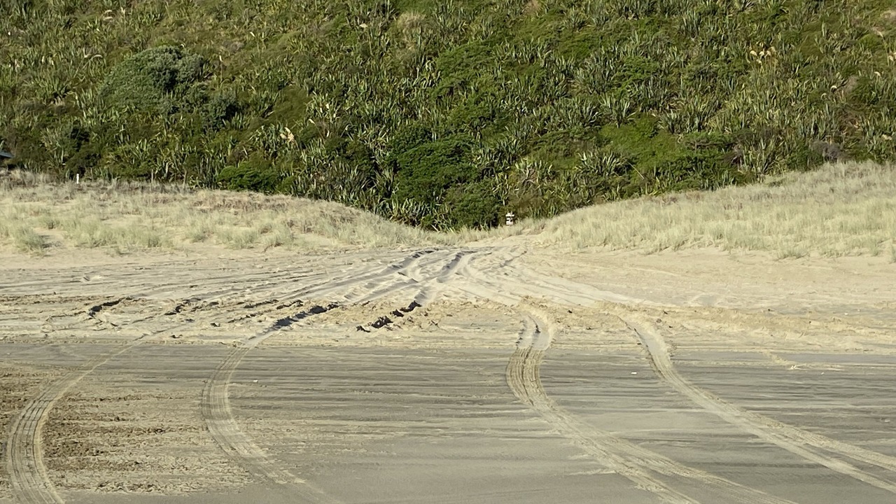 Photo of Others in Glinks Gully