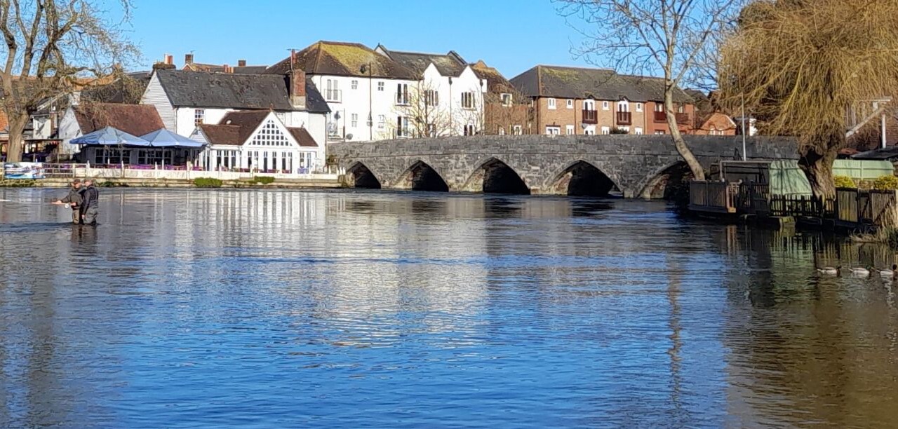 Photo of Others in New Forest District