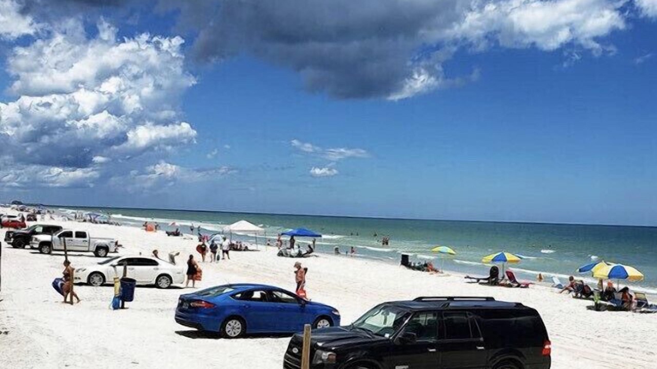 Photo of Others in Kingston