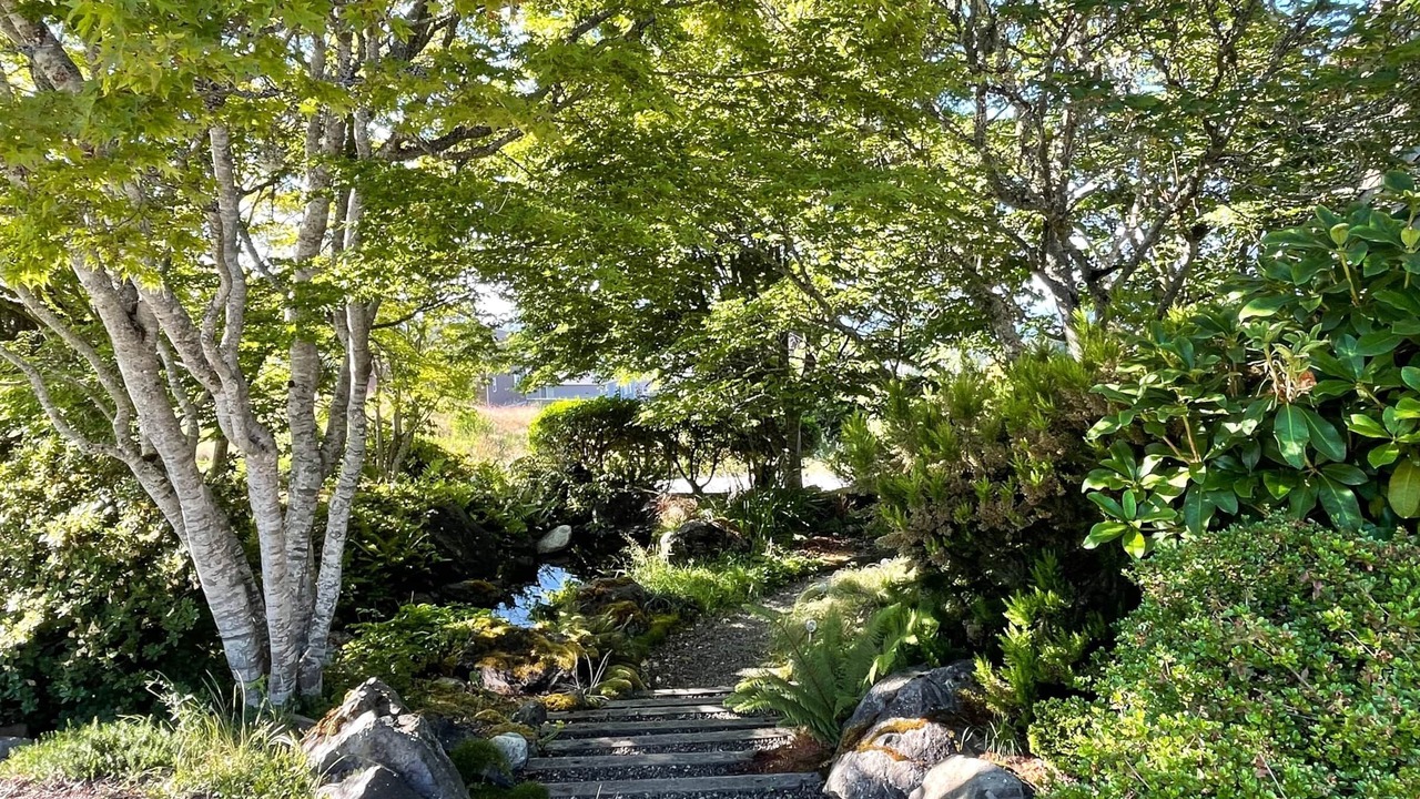 Photo of Outdoor in Port Angeles