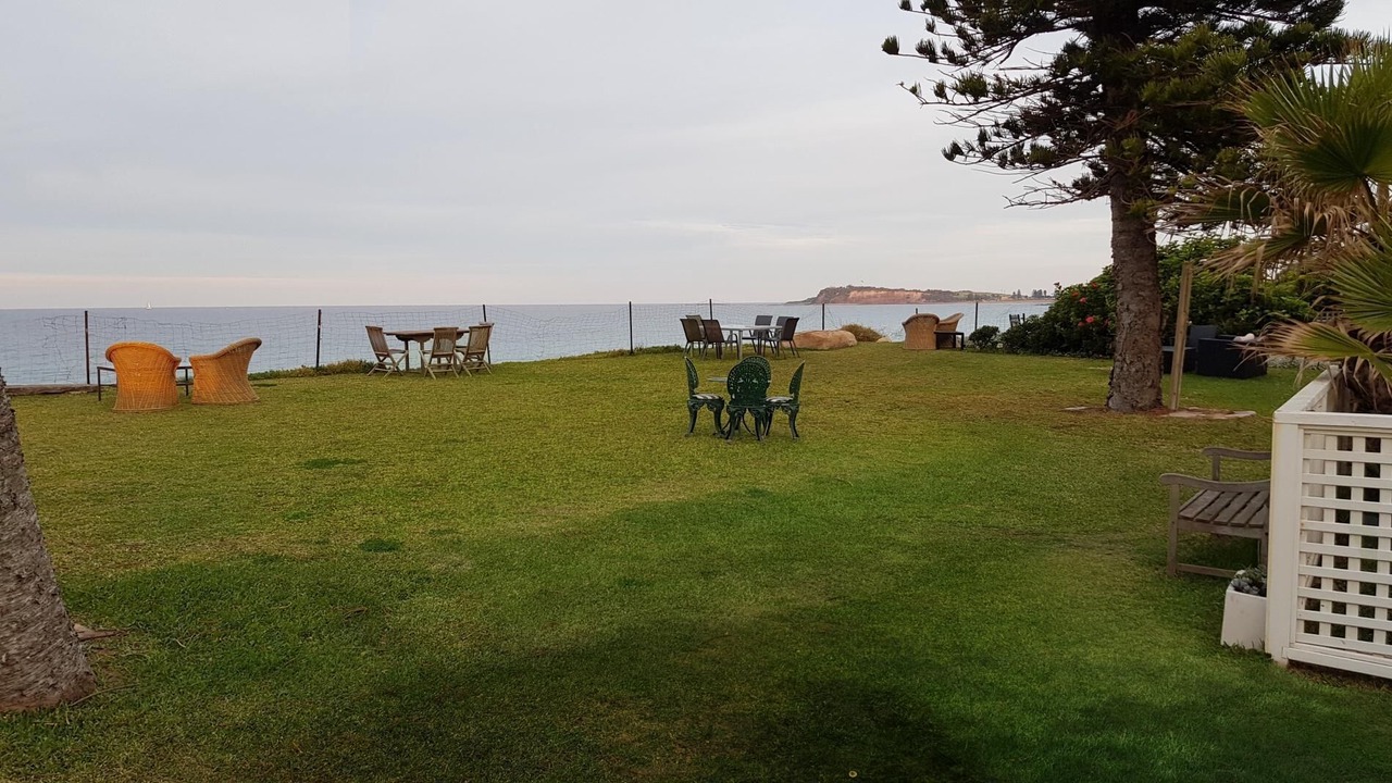 Photo of Others in Narrabeen