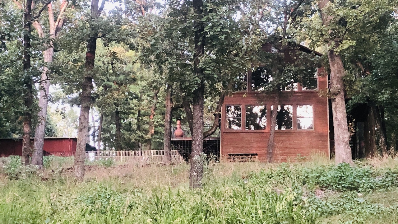 Photo of Outdoor in Hulbert