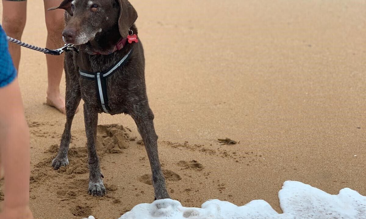 Photo of Others in Kiama