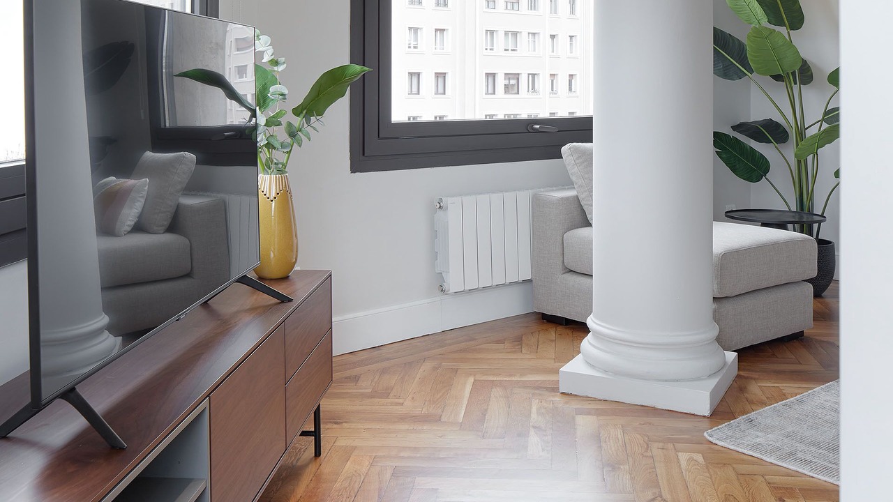 Photo of Livingroom in San Sebastian Centro