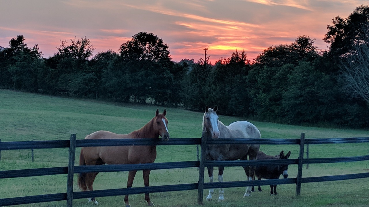 Photo of Outdoor in Reed Creek