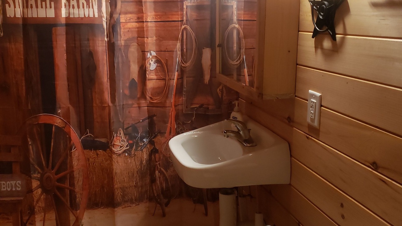 Photo of Bathroom in Reed Creek