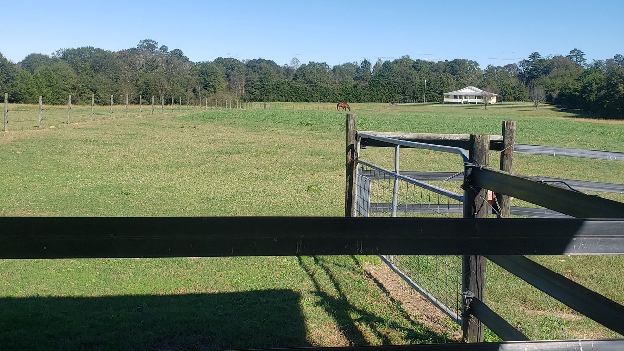 Photo of Outdoor in Reed Creek