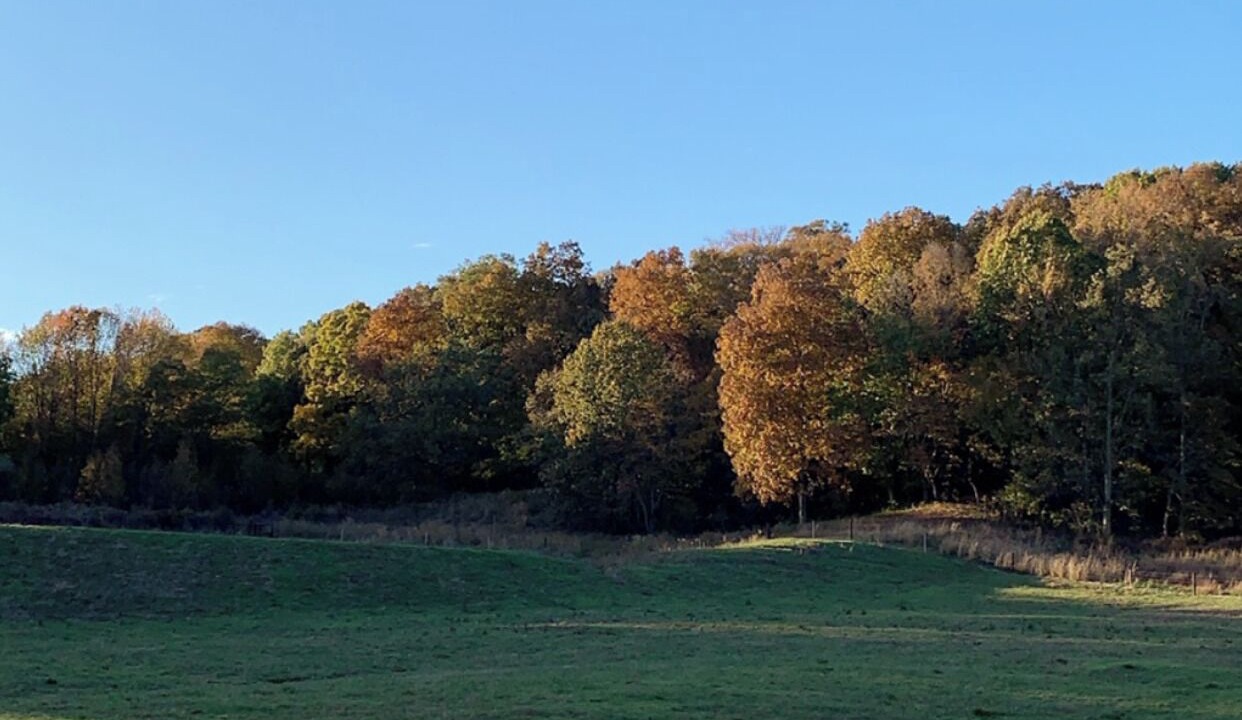 Photo of Outdoor in Alexander