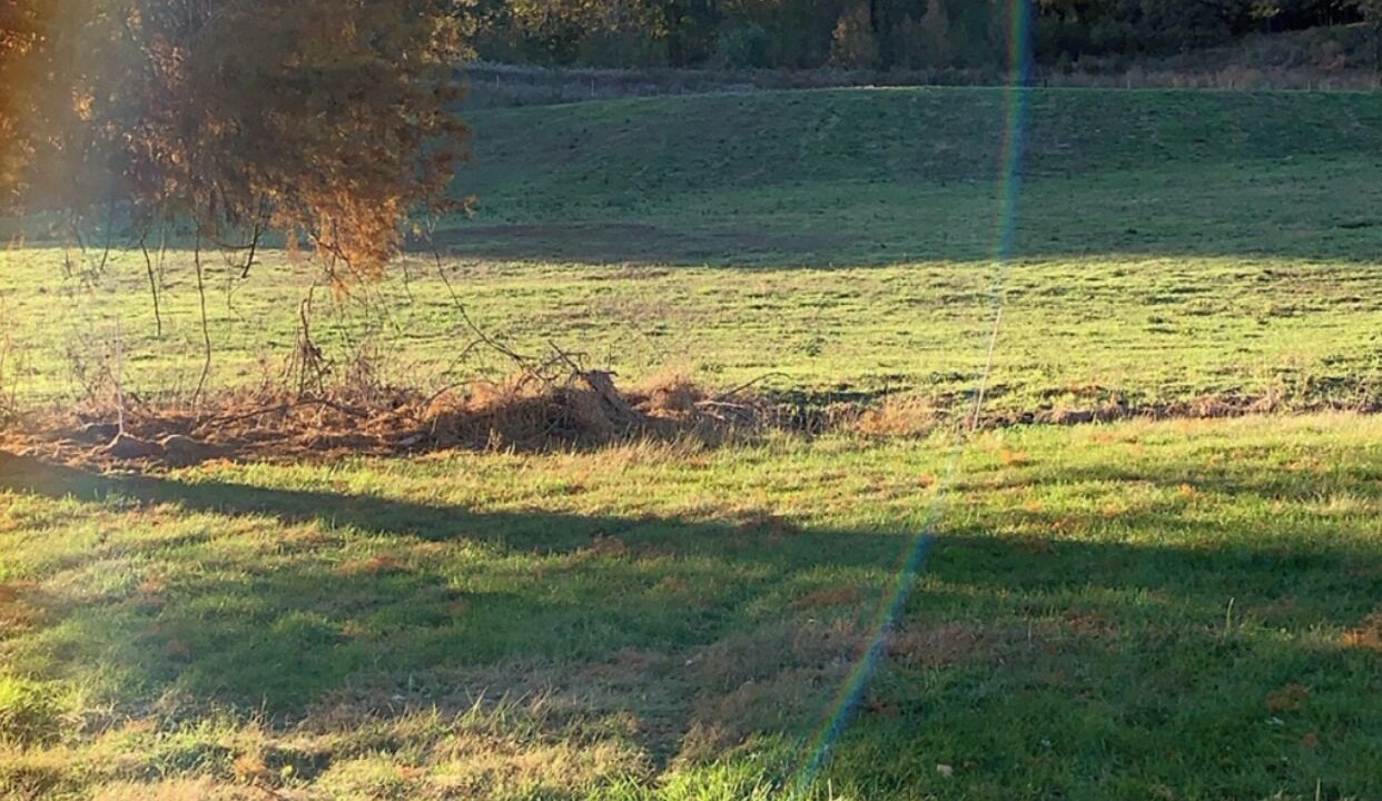 Photo of Outdoor in Alexander