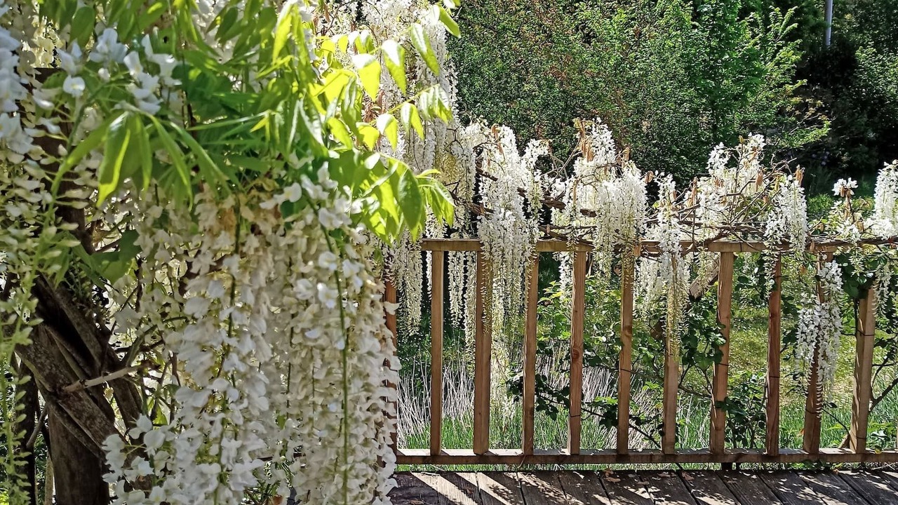 Photo of Outdoor in Devillac