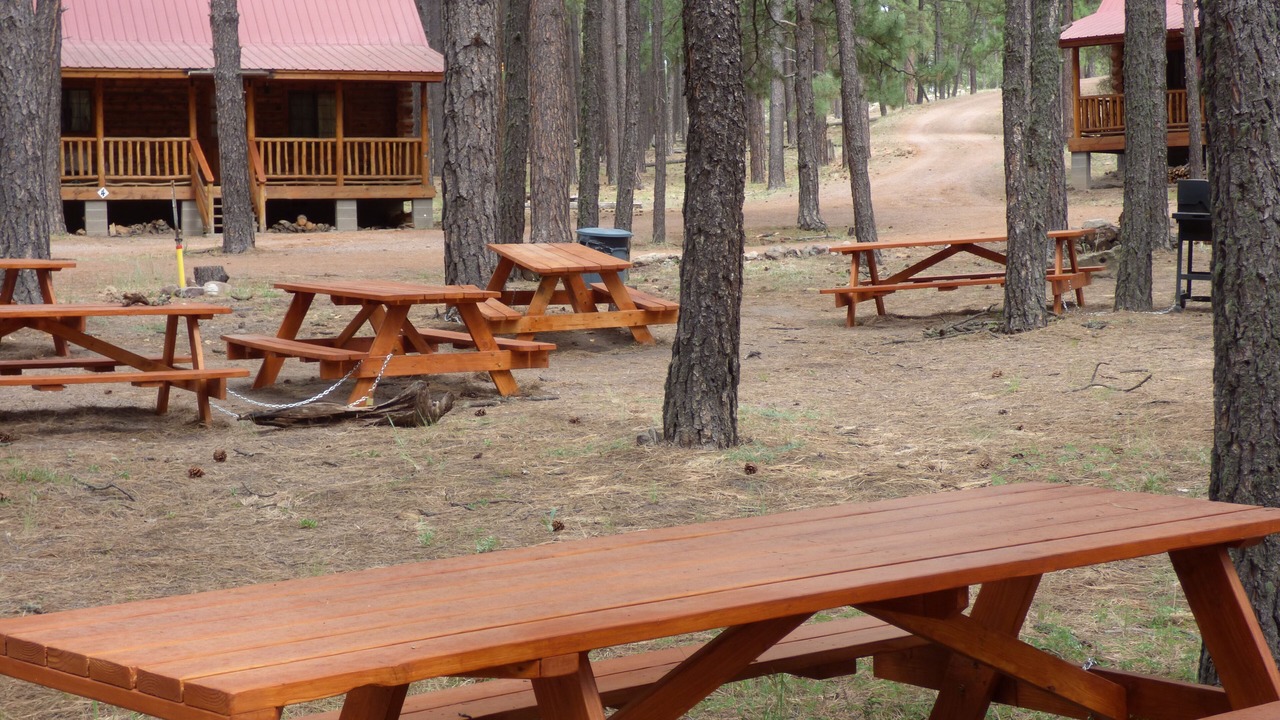 Photo of Outdoor in Alpine