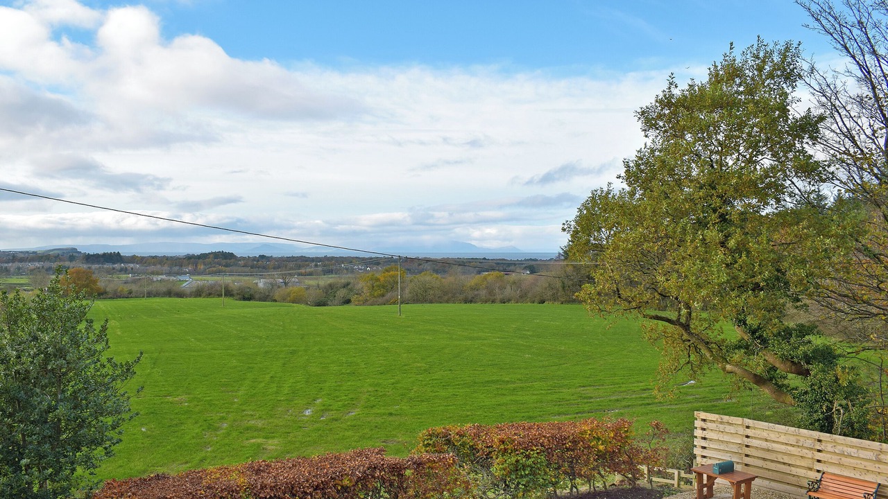 Photo of Others in Ayr