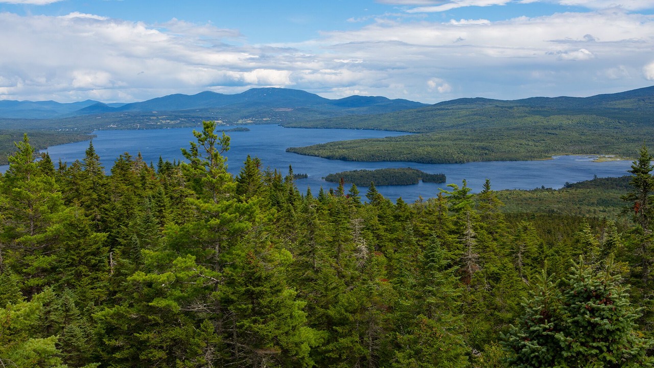 Photo of Others in Rangeley