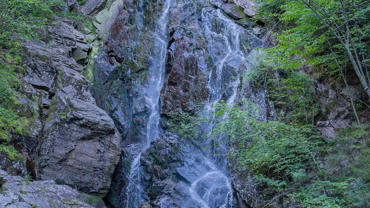 Photo of Others in Rangeley