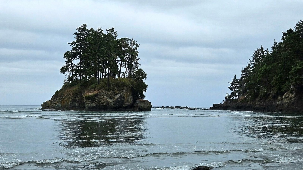 Photo of Others in Port Angeles