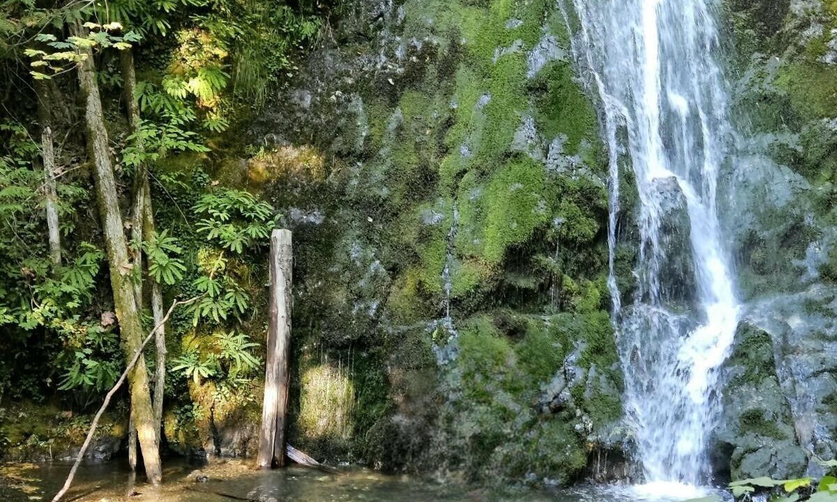 Photo of Outdoor in Port Angeles