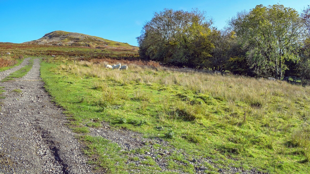 Photo of Others in Farden