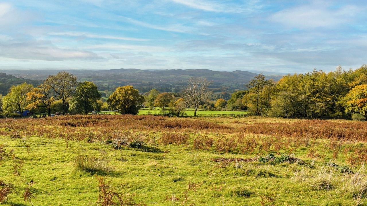Photo of Others in Farden