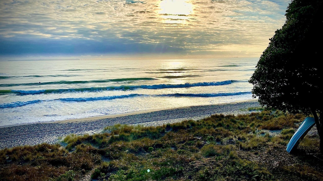 Photo of Others in Papamoa Beach