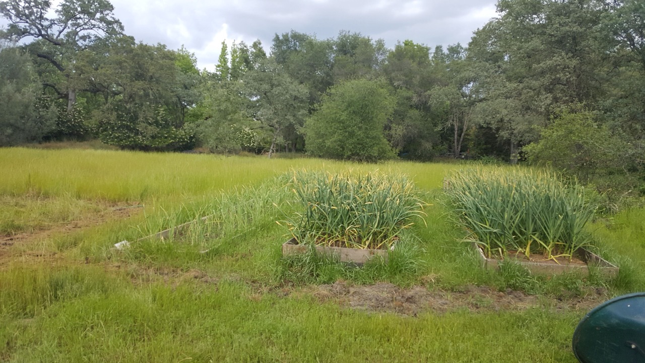 Photo of Outdoor in Granite Bay