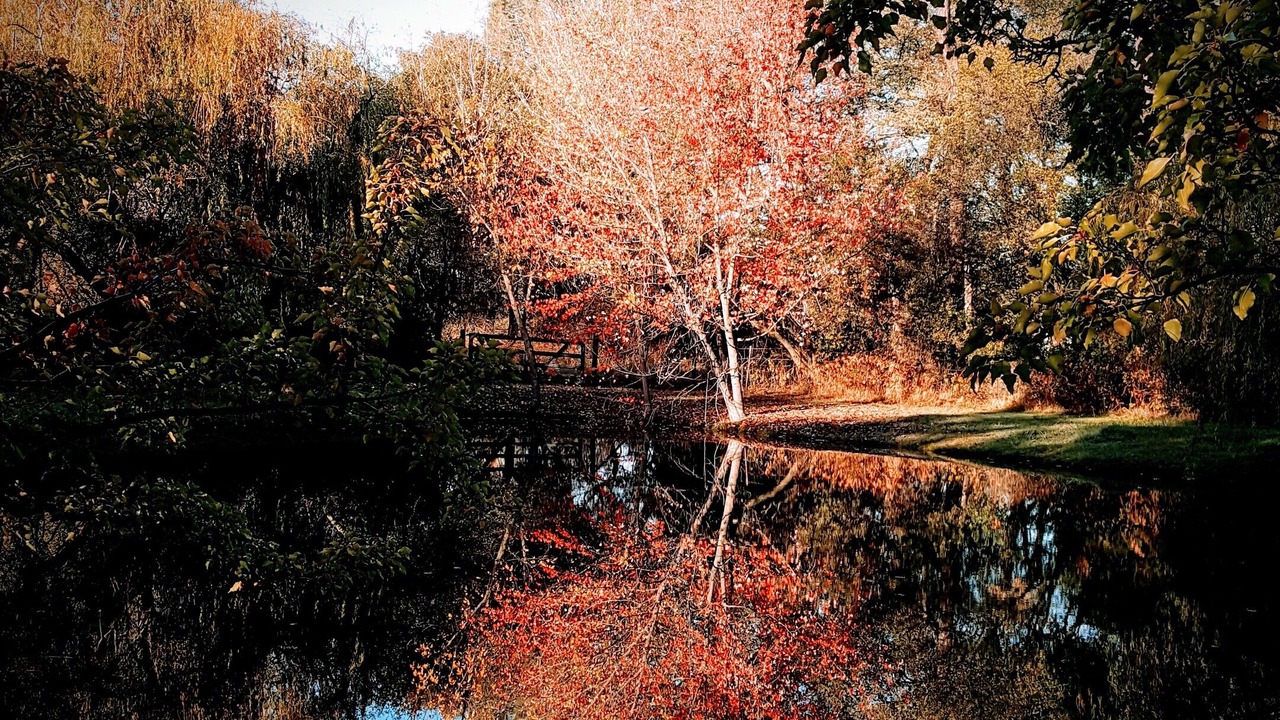 Photo of Outdoor in Granite Bay
