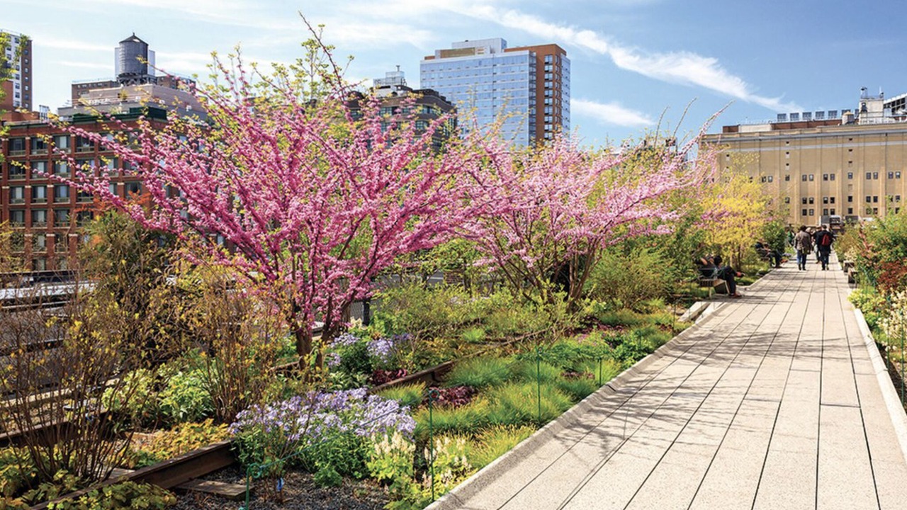 Photo of Outdoor in Midtown East