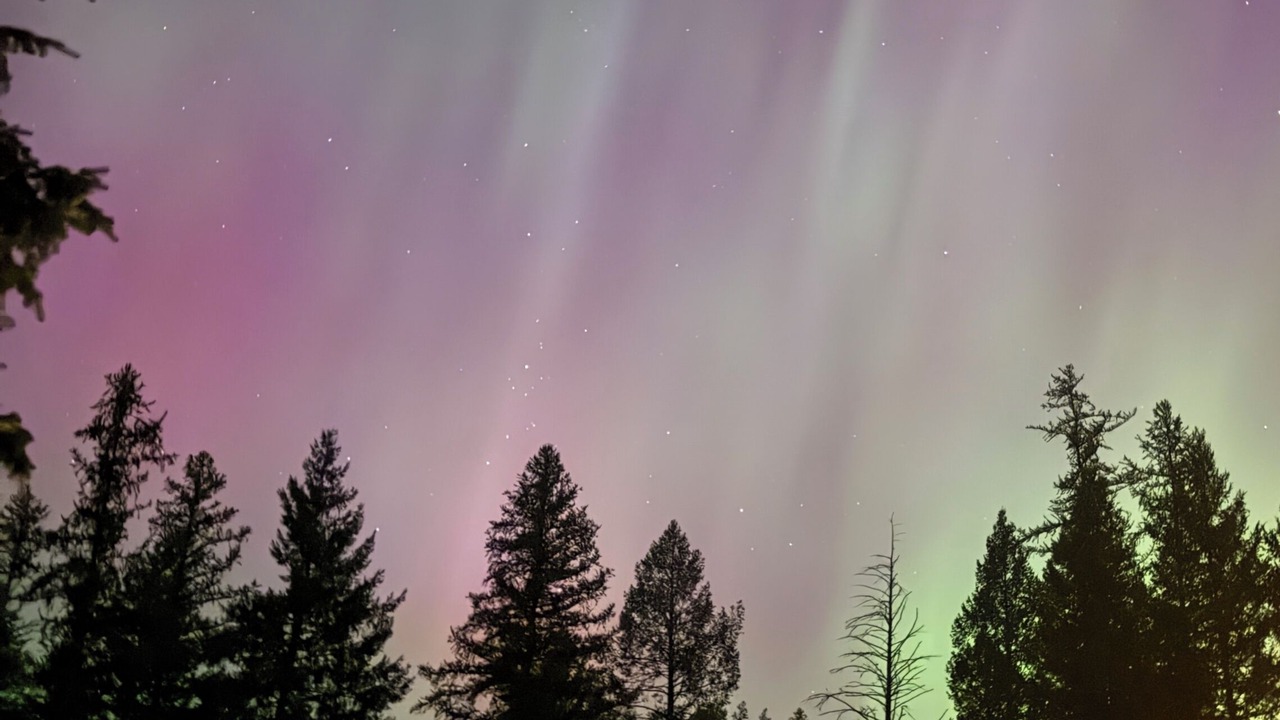 Photo of Others in Bigfork