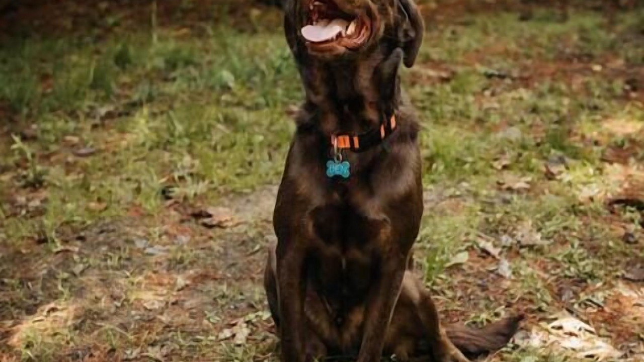 Photo of Others in Penn Yan