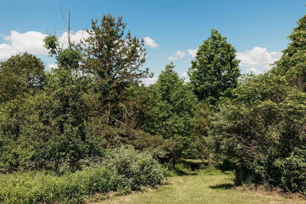 Photo of Others in Penn Yan