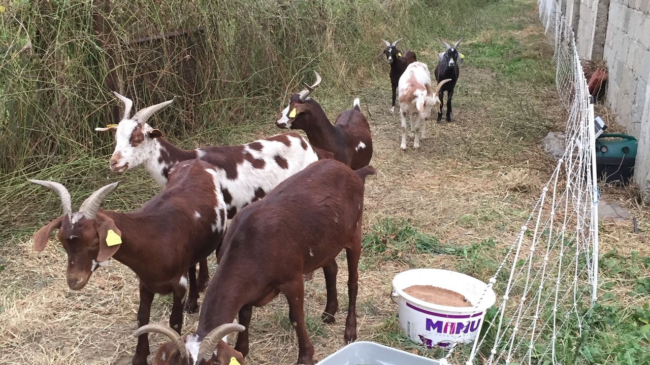 Photo of Outdoor in Estenos