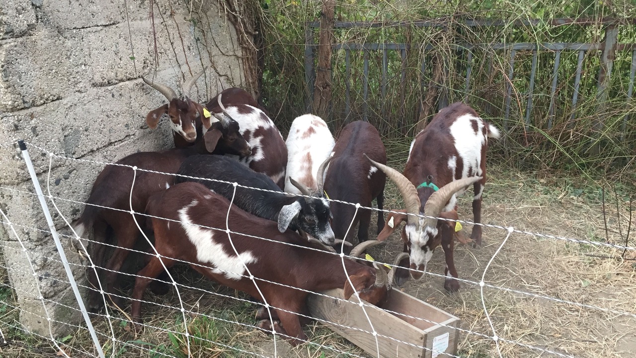 Photo of Outdoor in Estenos