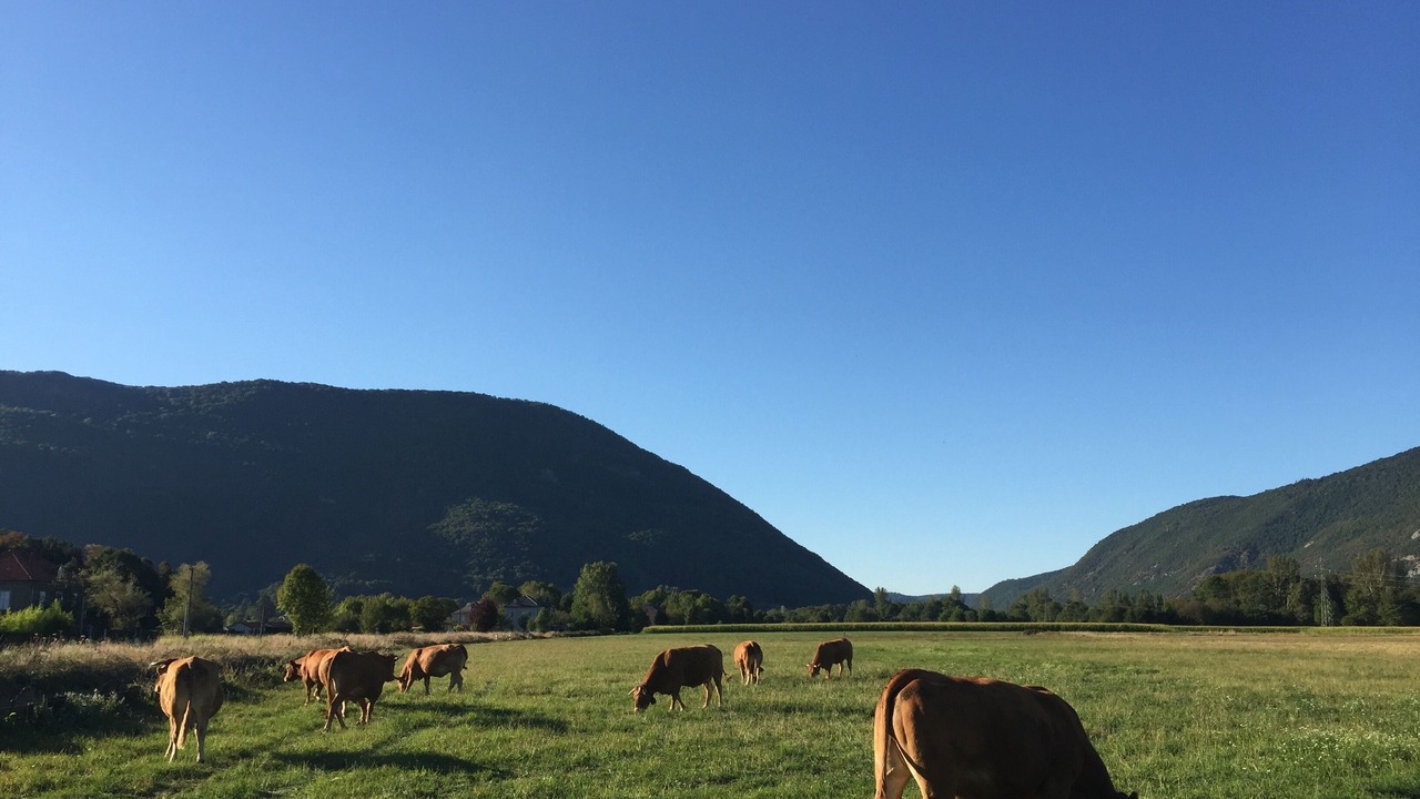 Photo of Outdoor in Estenos