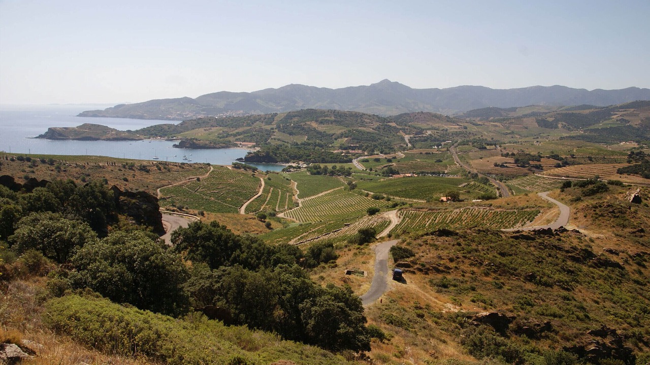 Photo of Outdoor in Port-Vendres