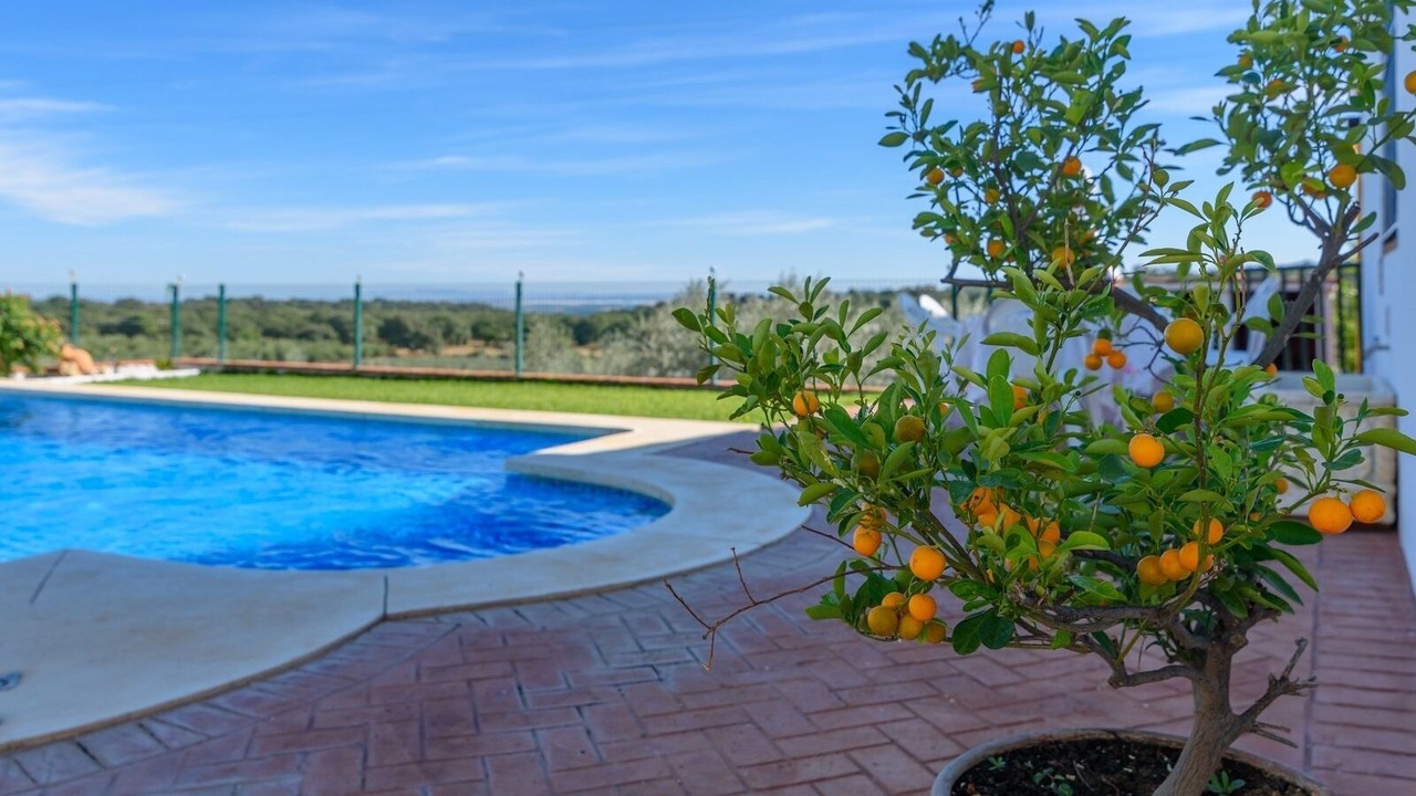 Photo of Outdoor in La Puebla de los Infantes