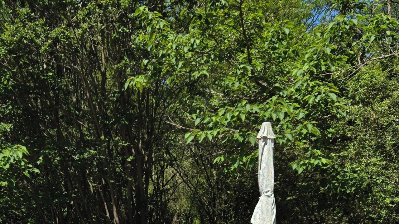 Photo of Outdoor in Ringold
