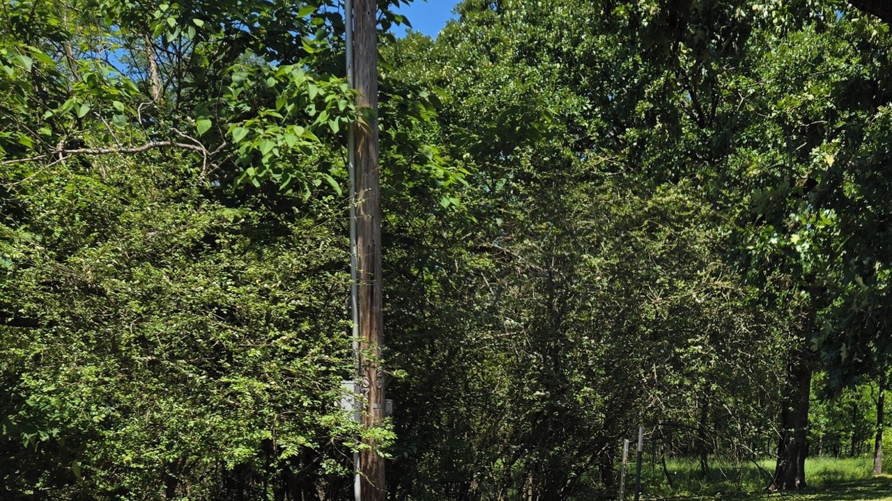 Photo of Outdoor in Ringold