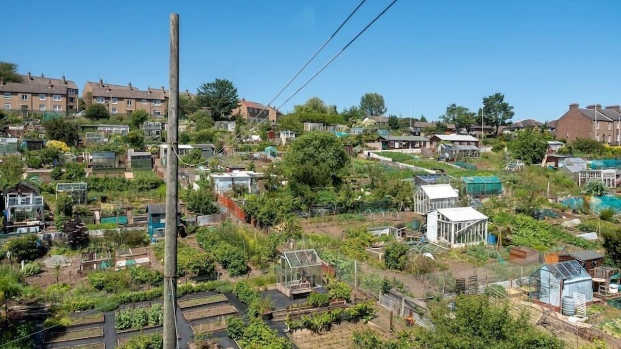 Photo of Others in Glenisla