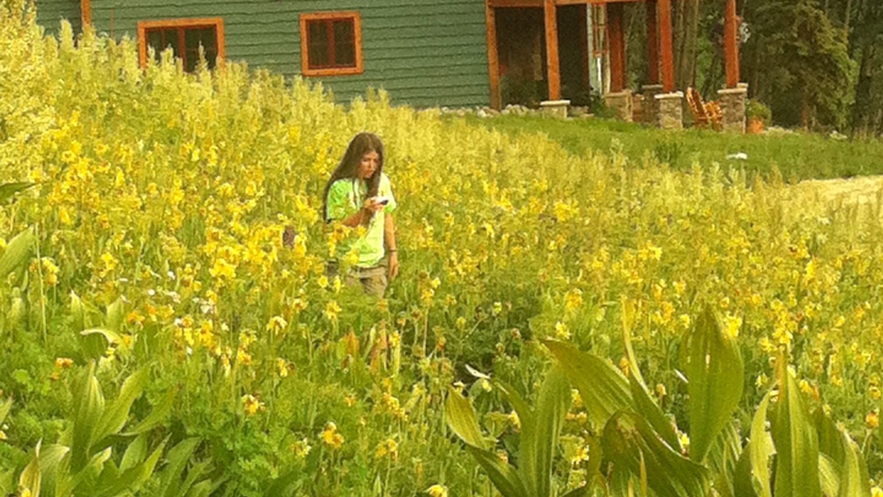 Photo of Others in Mount Crested Butte