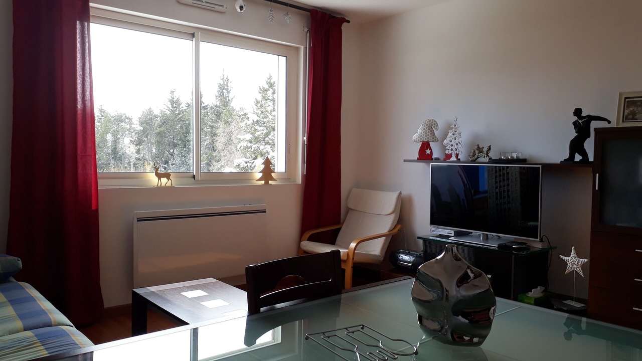 Photo of Livingroom in Superbolquere