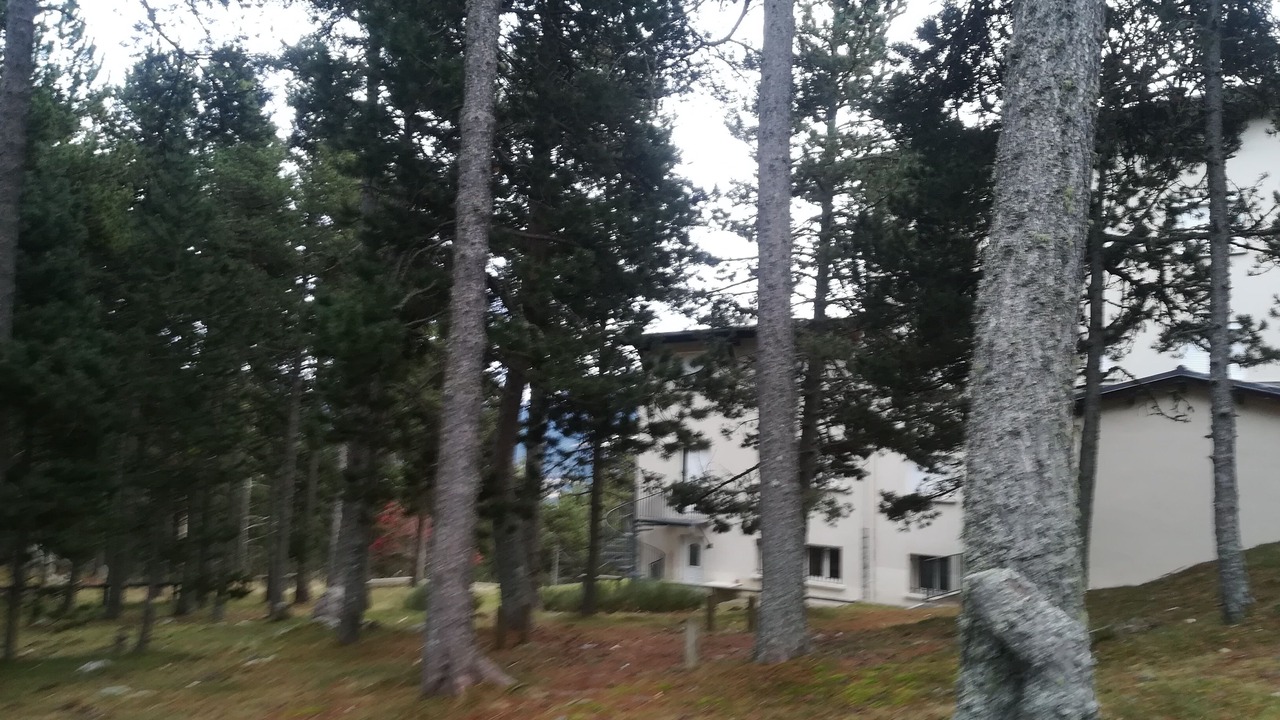 Photo of Outdoor in Superbolquere