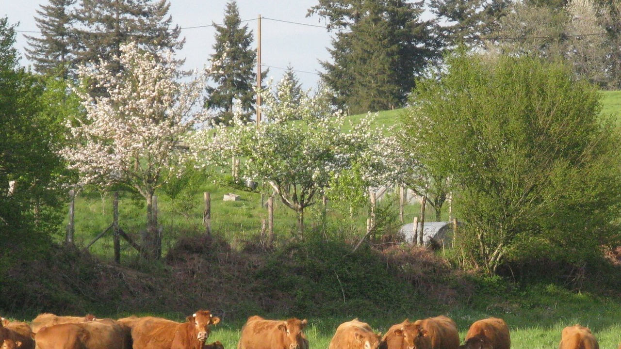 Photo of Outdoor in Saint-Vaury