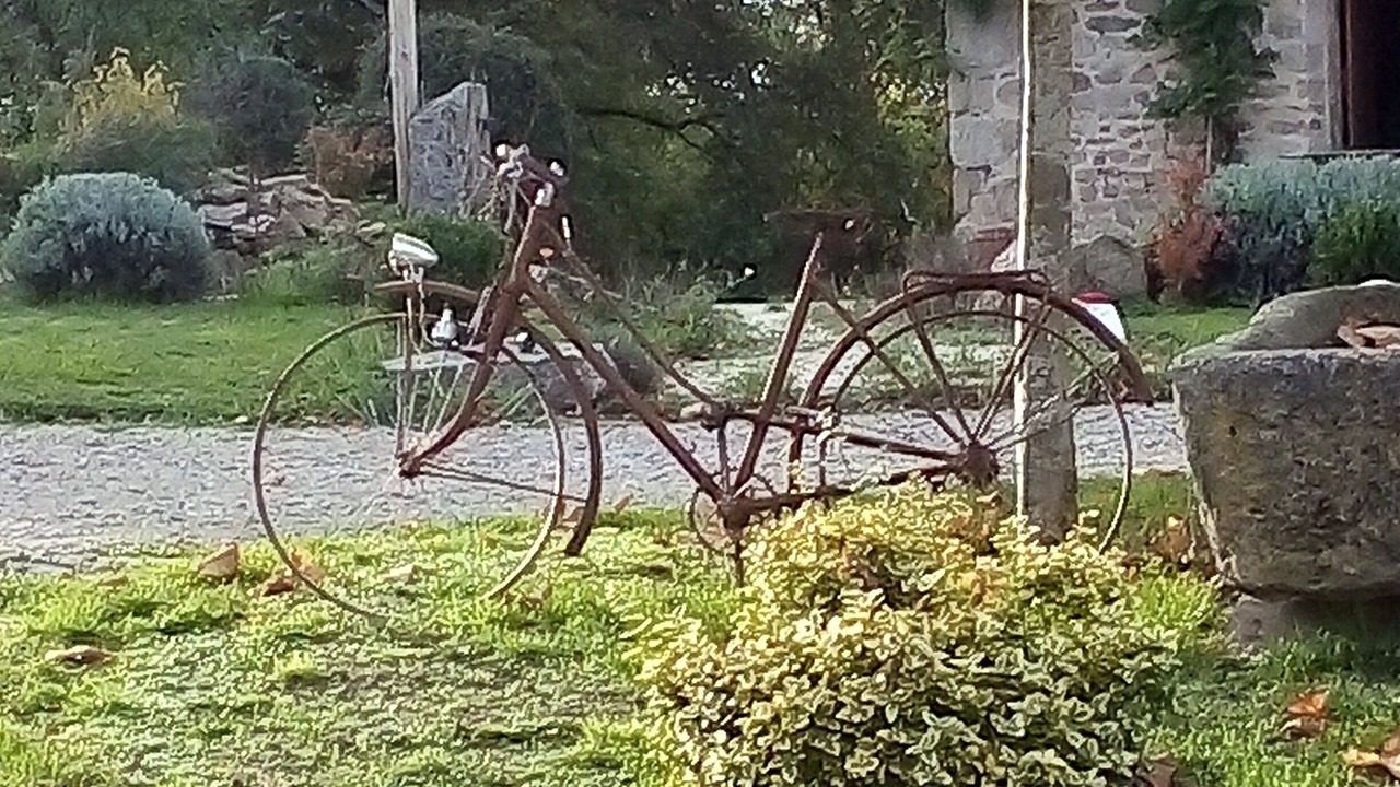 Photo of Outdoor in Saint-Vaury