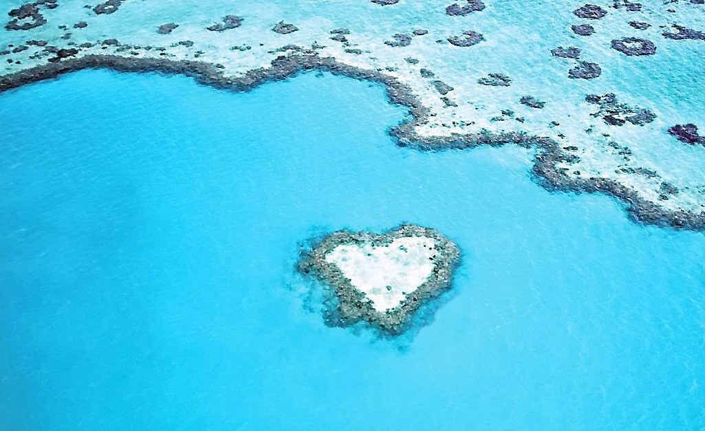 Photo of Outdoor in Airlie Beach