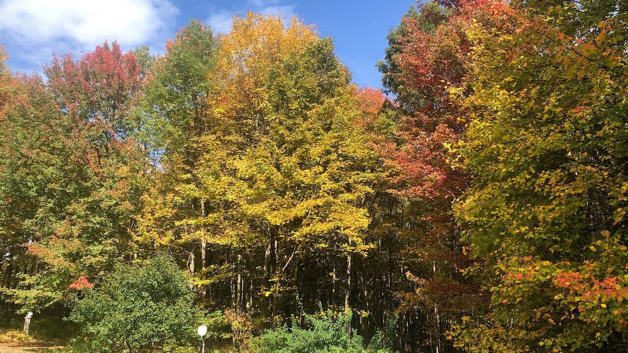 Photo of Others in Bloomville